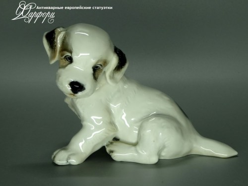 Купить фарфоровые статуэтки Rosenthal, Щенок терьера, Германия